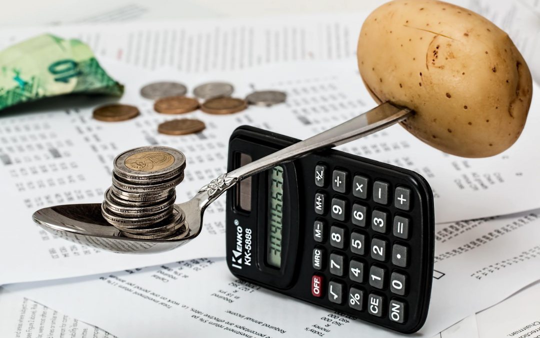 Demain tous au SMIC ?￼